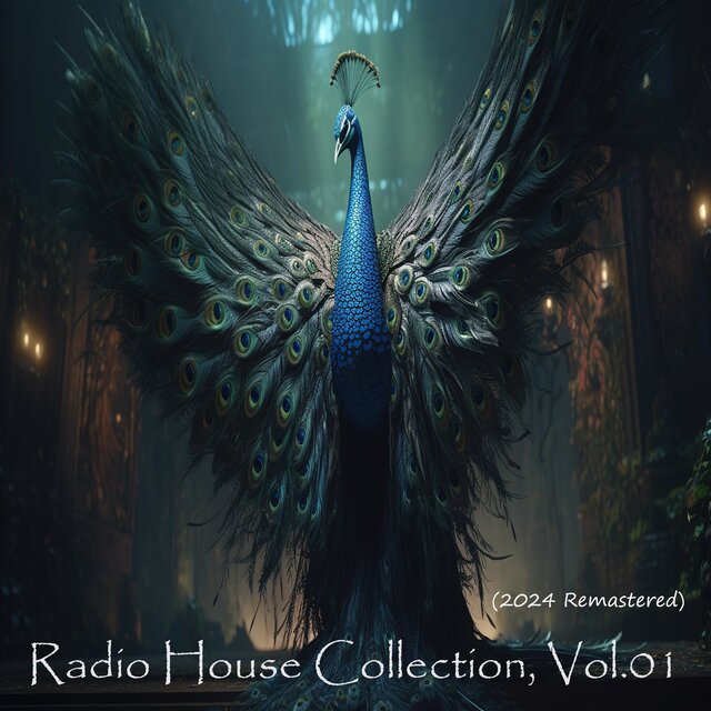 Radio House Collection, Vol. 01 (2024 Remastered)