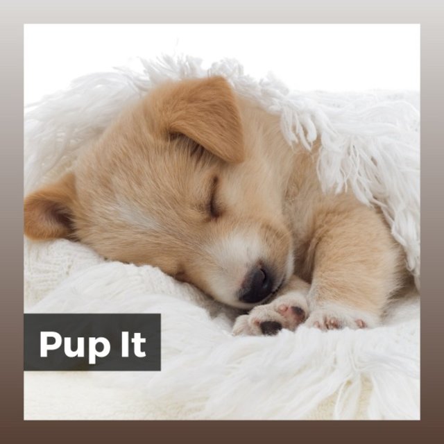 Pup It
