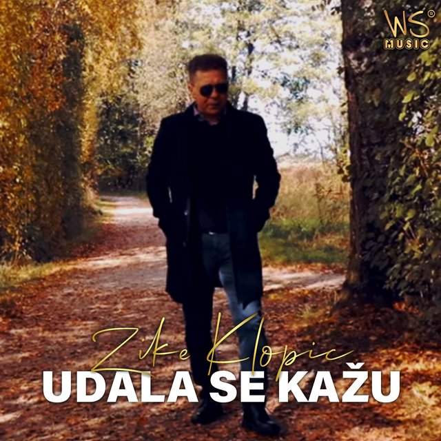 Udala se kazu