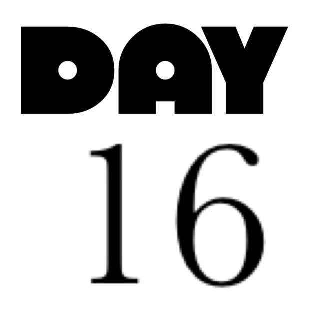 Day 16