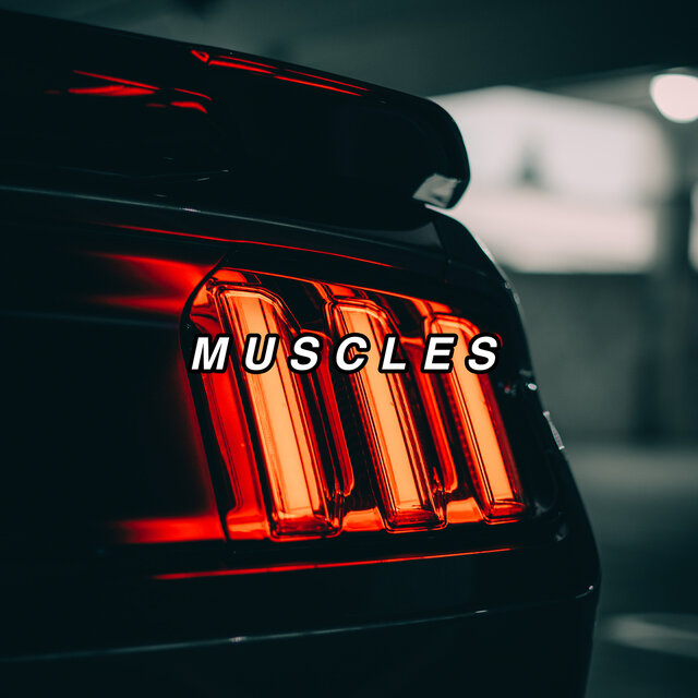 Muscles