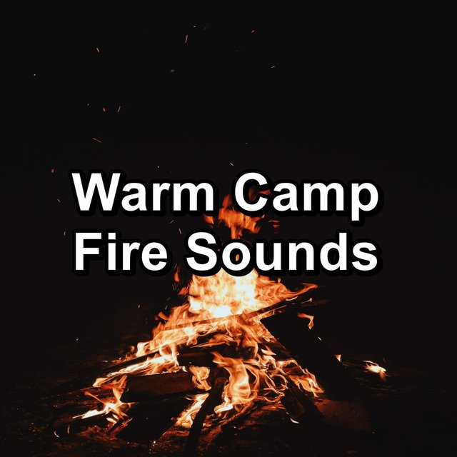 Warm Camp Fire Sounds