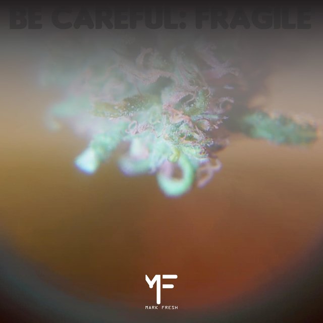 Be Careful: Fragile