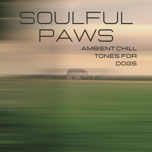 Soulful Paws: Ambient Chill Tones for Dogs