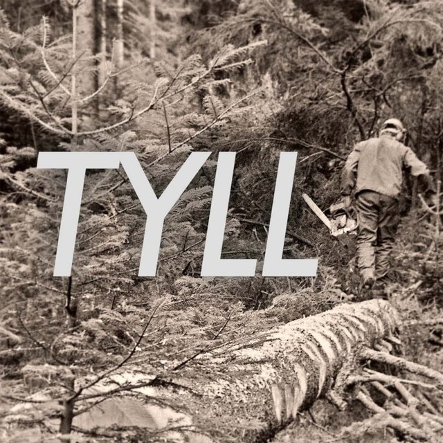 Tyll