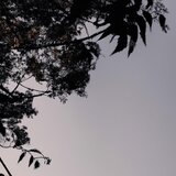 Cozy Autumn Loops