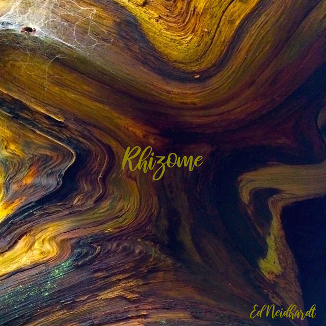 Rhizome