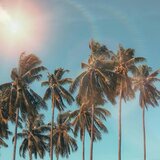 Summer Madness