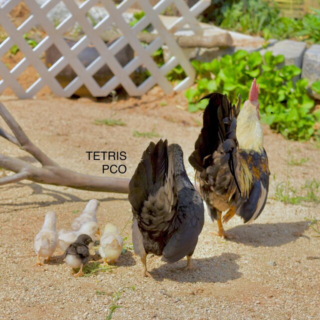 Tetris