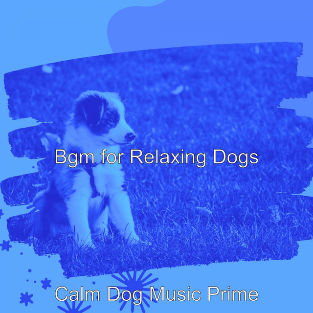 Bgm for Relaxing Dogs