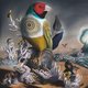 Cover art for album Spring Moons by Drew Charron