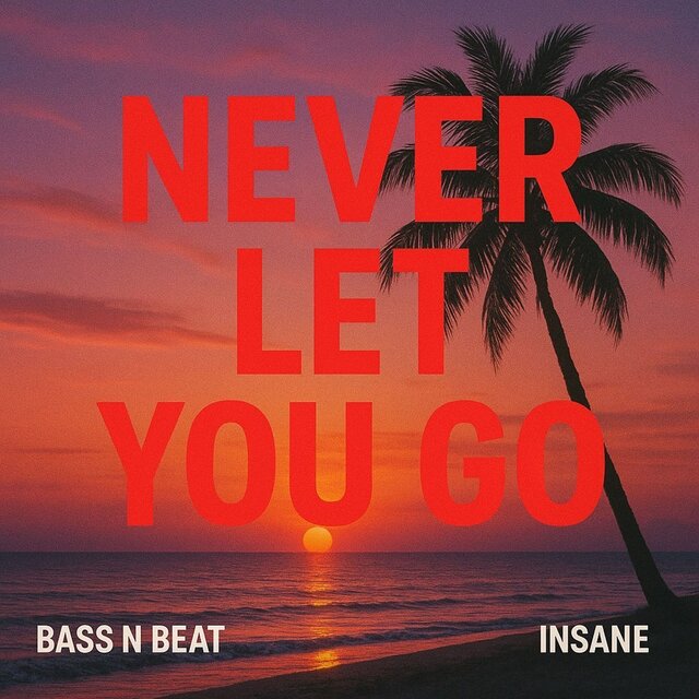 Never Let You Go