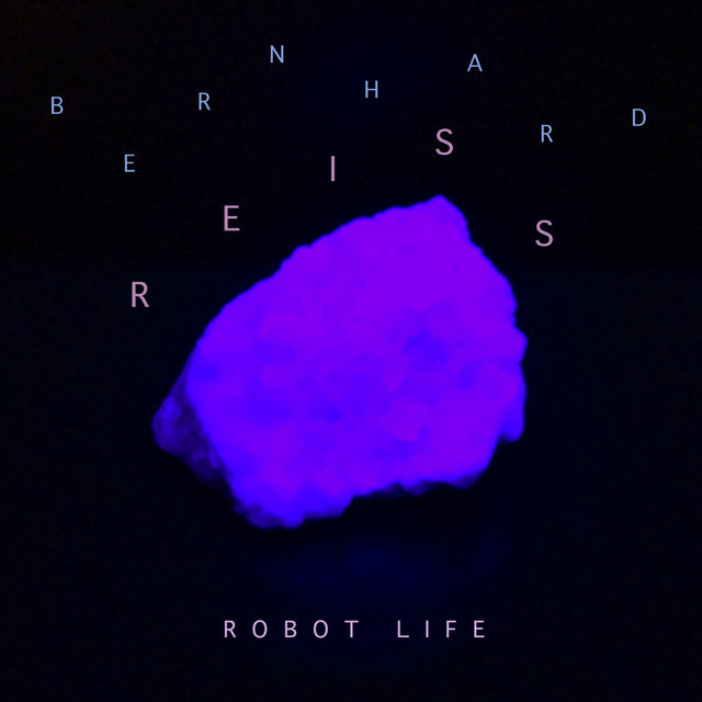 Robot Life