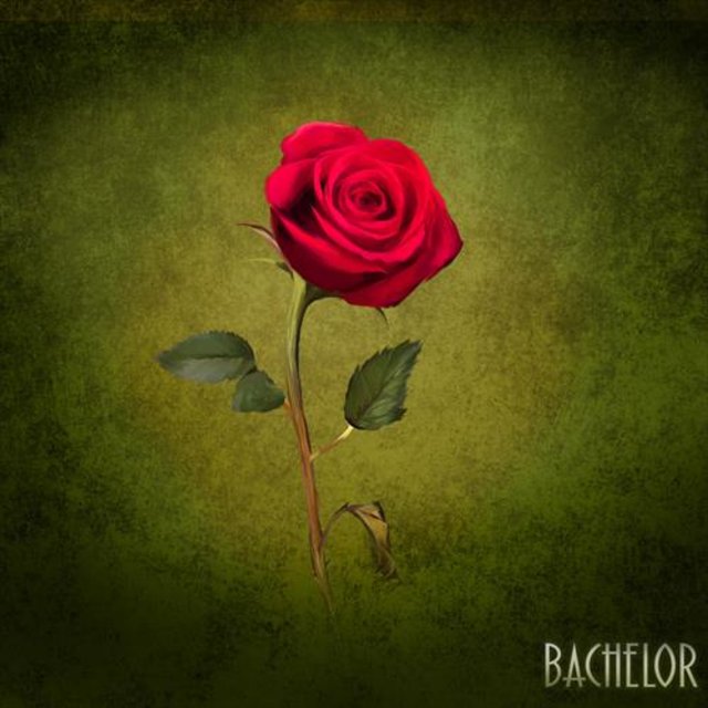 Bachelor