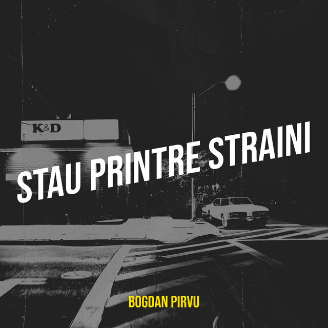Stau Printre Straini