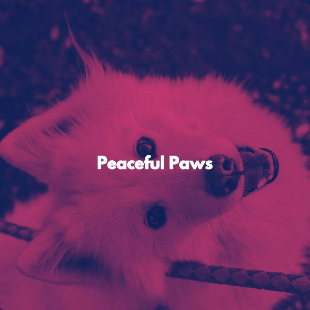 Peaceful Paws