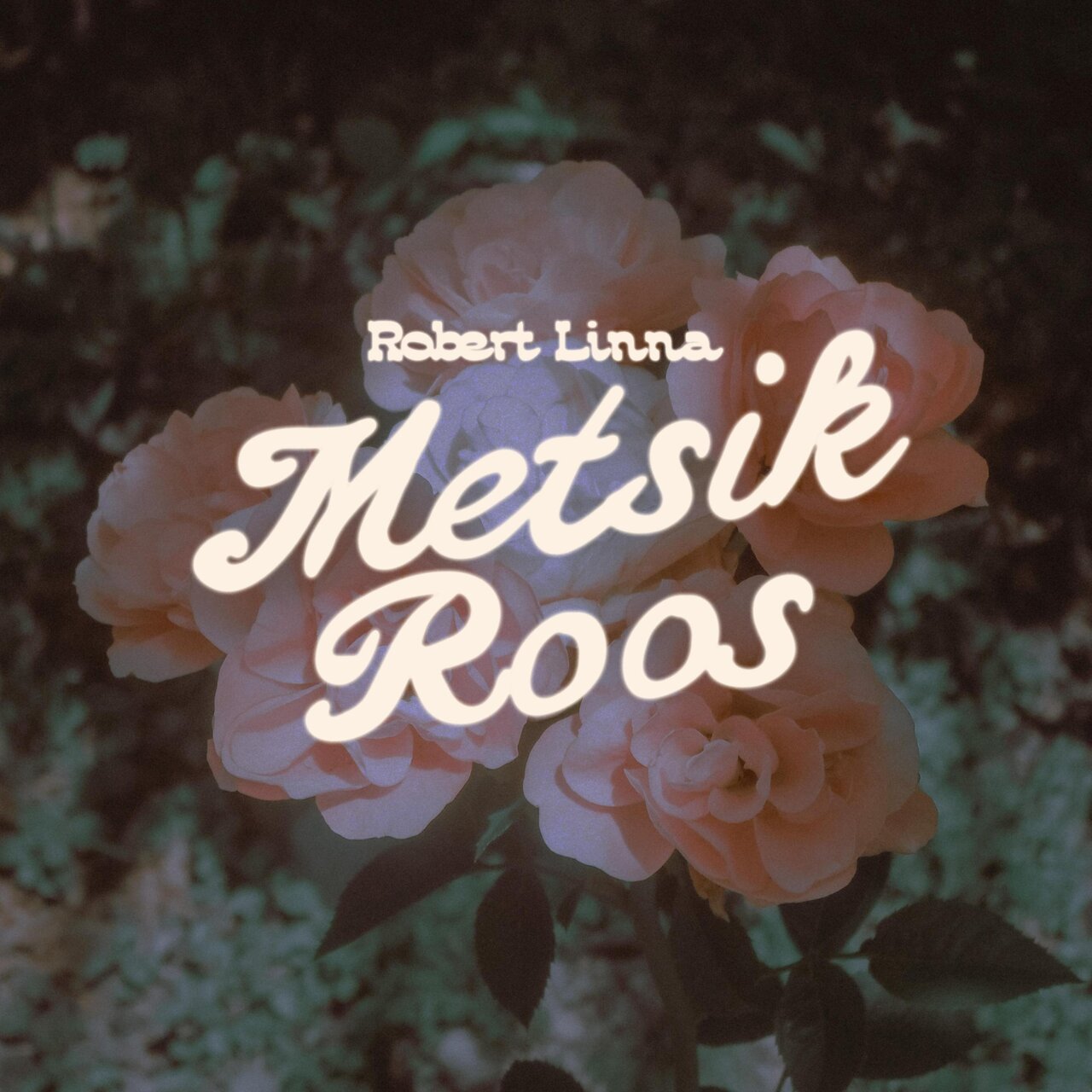 Robert Linna — Metsik Roos cover artwork