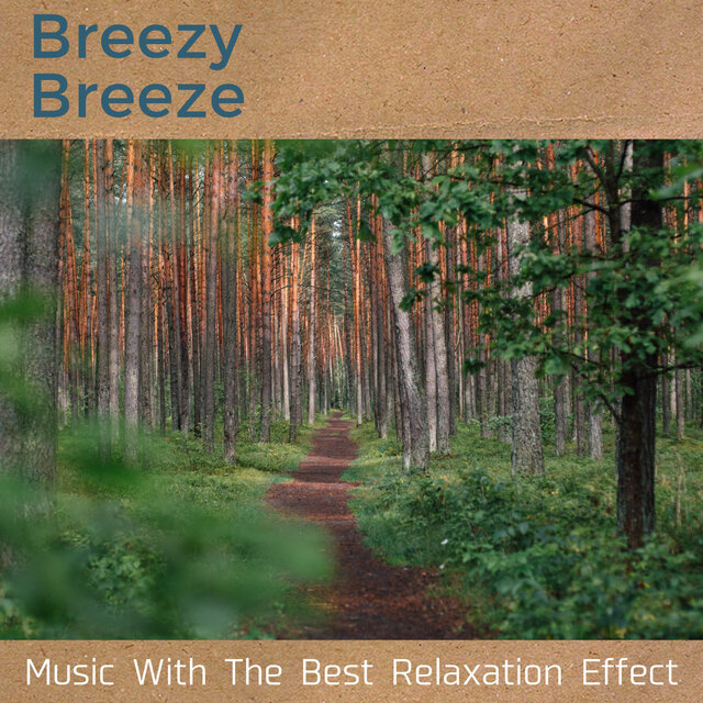 Music With The Best Relaxation Effect