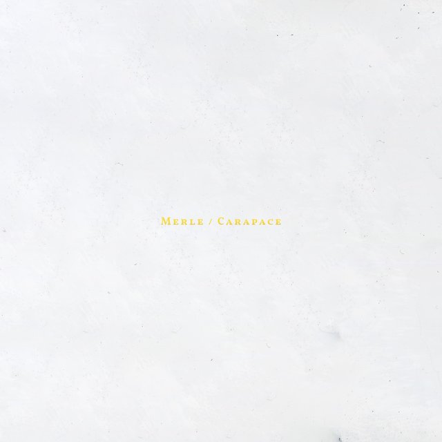 Lettre Ouverte(Album Sampler)