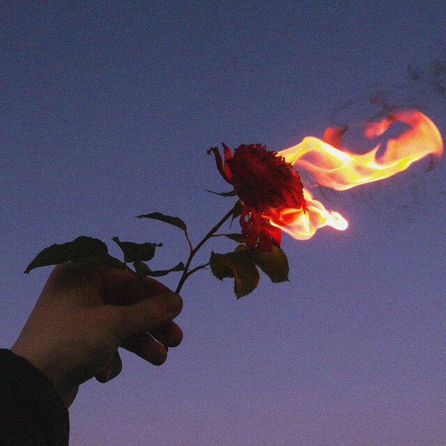 I WON'T LET YOU GO