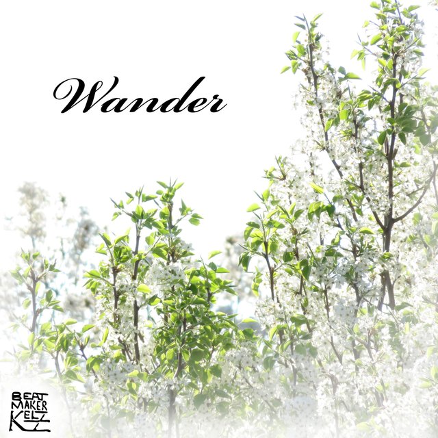 Wander