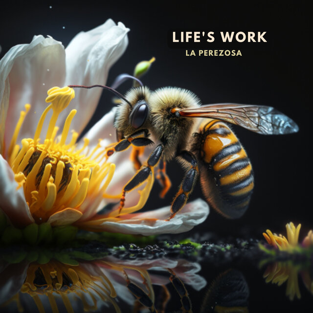Life's Work