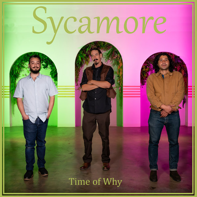 Time of Why