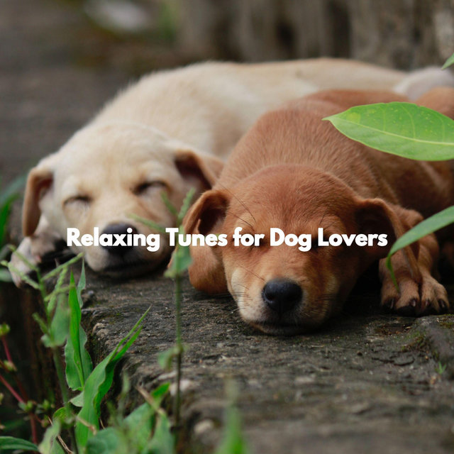 Relaxing Tunes for Dog Lovers
