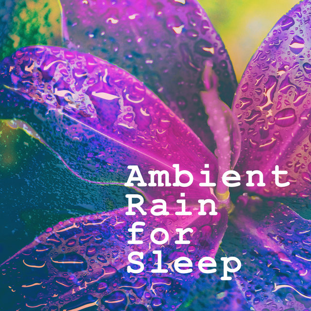 Ambient Rain for Sleep
