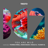 You Are Wild (Flowki (SL) Remix)