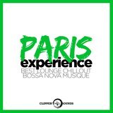 Je Suis Paris (In Memorial)