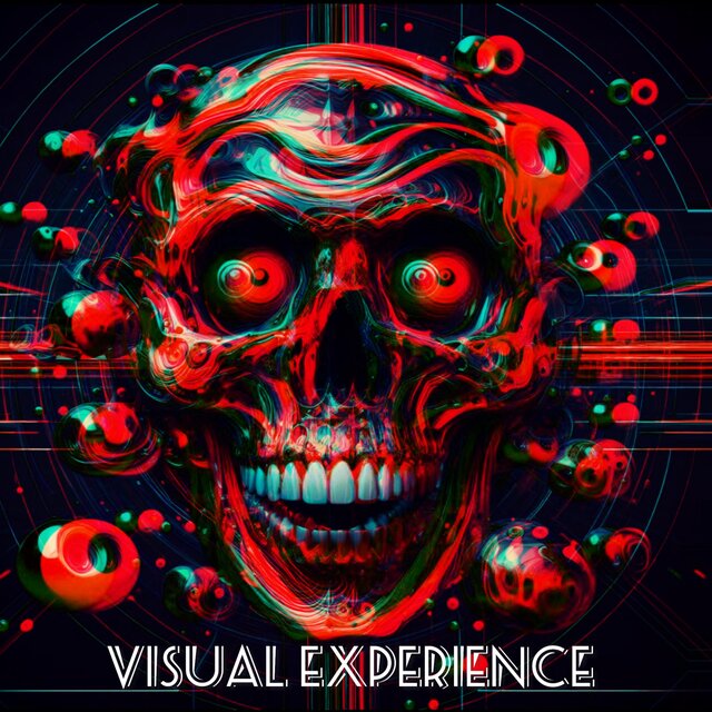 Visual Experience