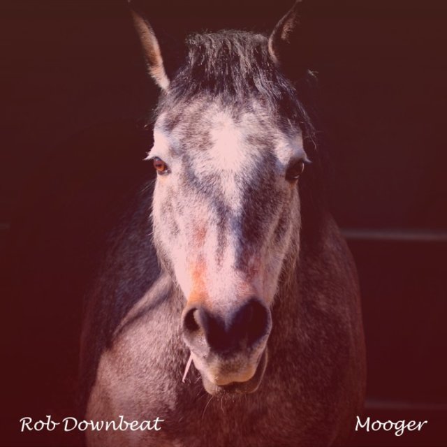 Mooger (Radio Edit)