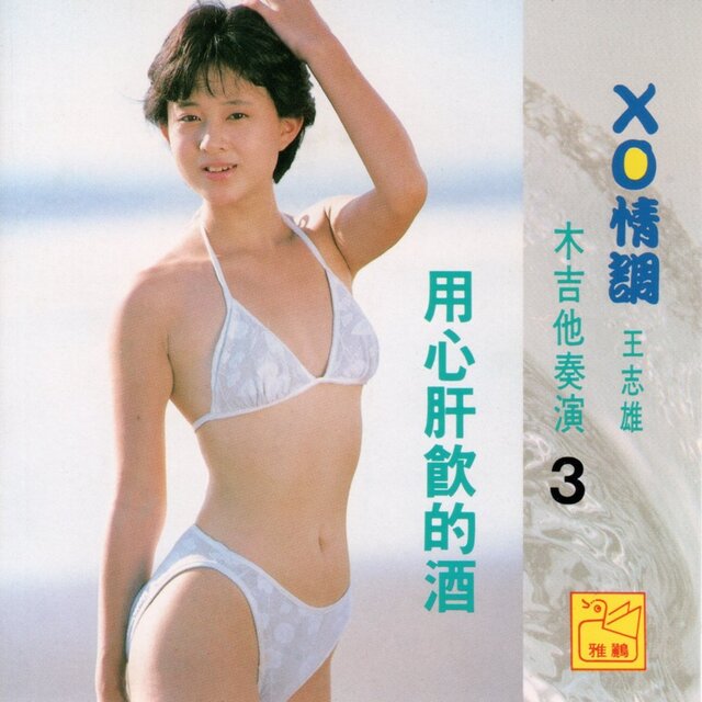 王志雄 (XO情調 木吉他演奏 3 用心肝飲的酒)