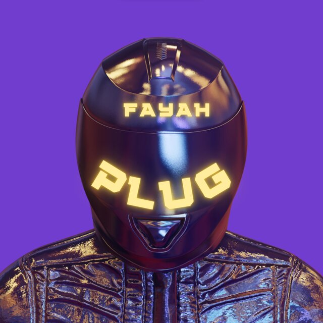 Plug