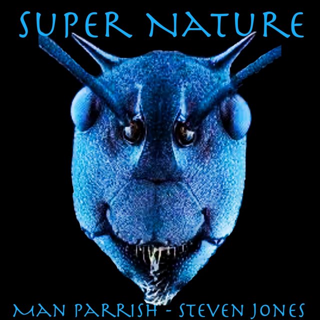 Super Nature (feat. Steven Jones)