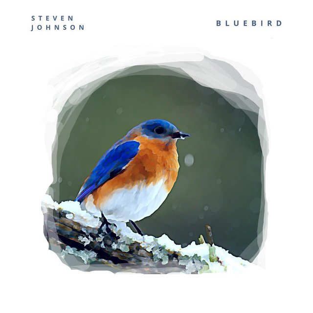 Bluebird
