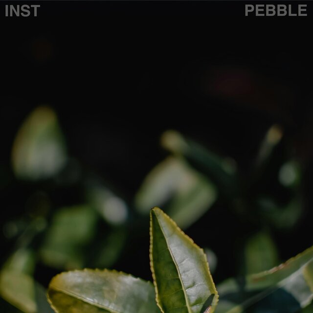 Pebble