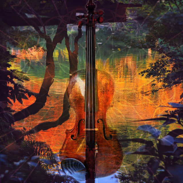 Violin Relax