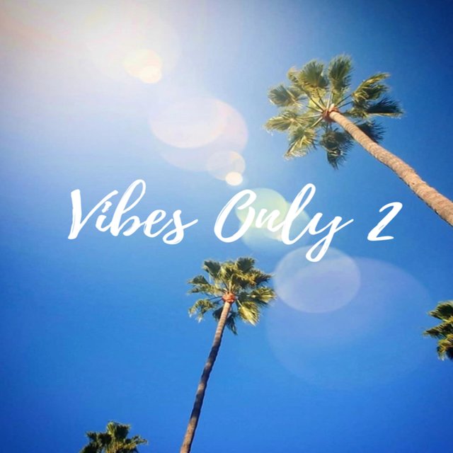 Vibes Only 2