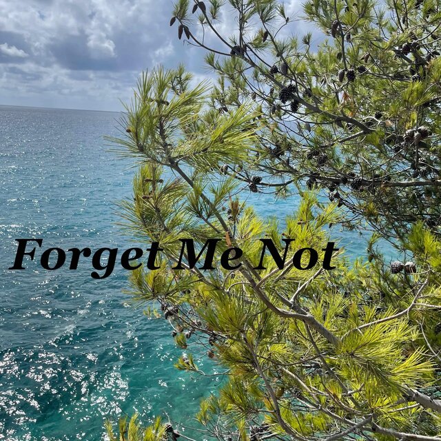 Forget Me Not