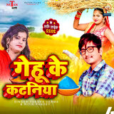 Gehu Ke Kataniya