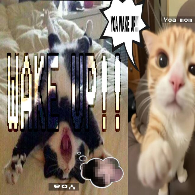 Wake up!!