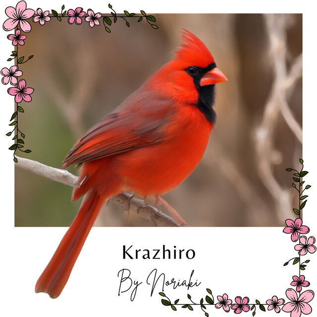 Krazhiro