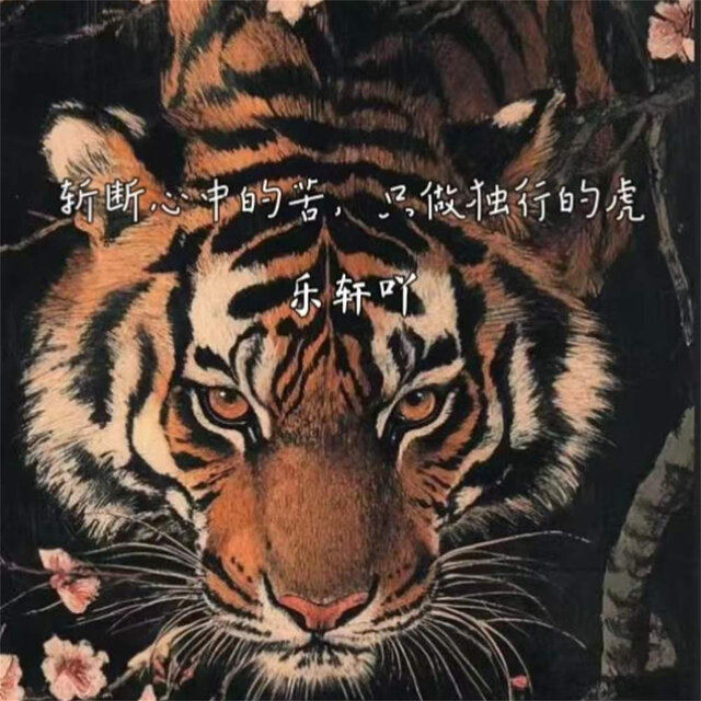 斩断心中的苦，只做独行的虎