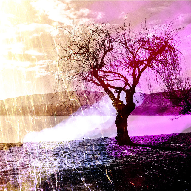 Abandon