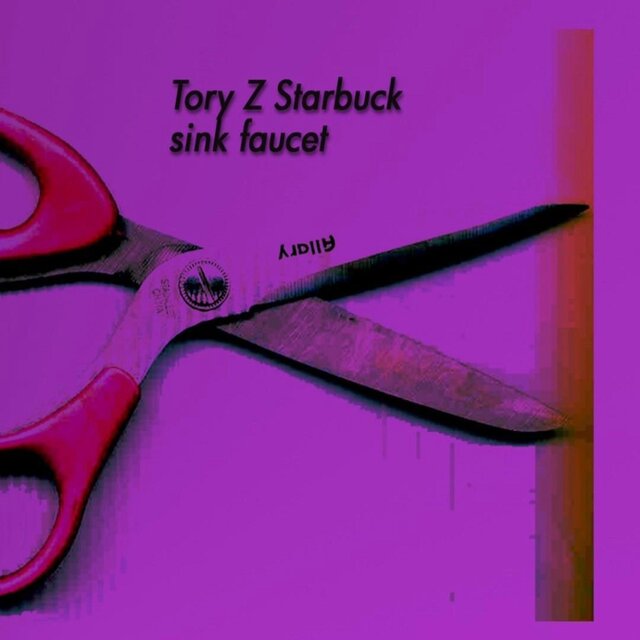 Sink Faucet