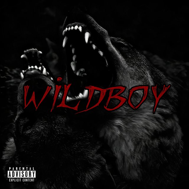 W I L D B O Y