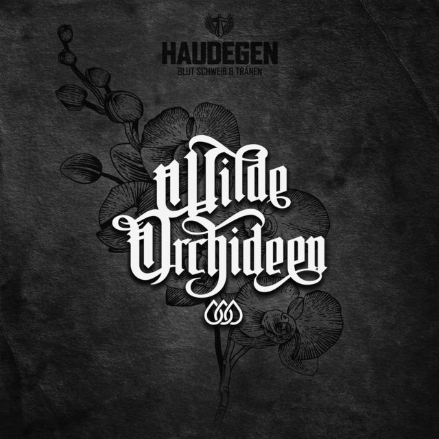Wilde Orchideen