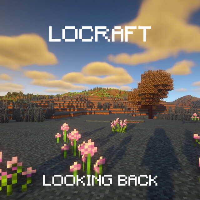 Looking Back